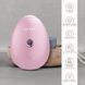 Електронний освіжувач для зволоження обличчя GESKE Facial Hydration Refresher 4в1 pink HB0170 фото 3
