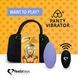 Вибратор в трусики FeelzToys Panty Vibrator Purple с пультом ДУ, 6 режимов работы, сумочка-чехол SO3850 фото 1