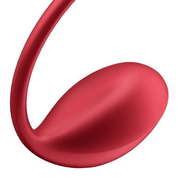 Виброяйцо Satisfyer Shiny Petal Connect App SX1220 фото