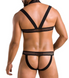 Комплект чоловічої еротичної білизни з кріпленнями Passion JACOB 043, чорний (S/M) SO7601 фото 2
