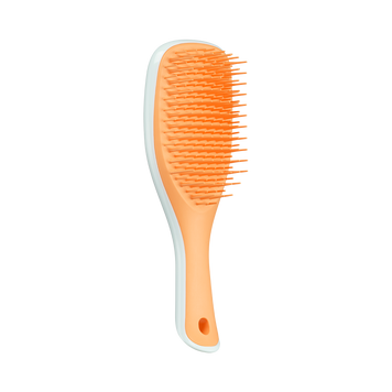 Щетка для волос Tangle Teezer The Ultimate Detangler Mini Ice Blue&Sweet Orange 5060926686790 фото